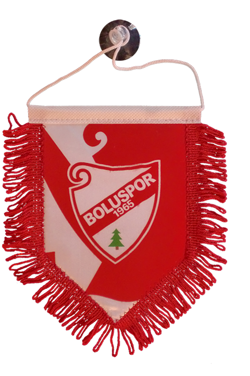 Spor Takımı Beşgen Flama